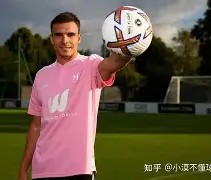 九游体育APP-富勒姆主场惨败，英超保级前景黯淡的简单介绍