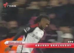 富勒姆主场惨败，英超保级前景黯淡的简单介绍